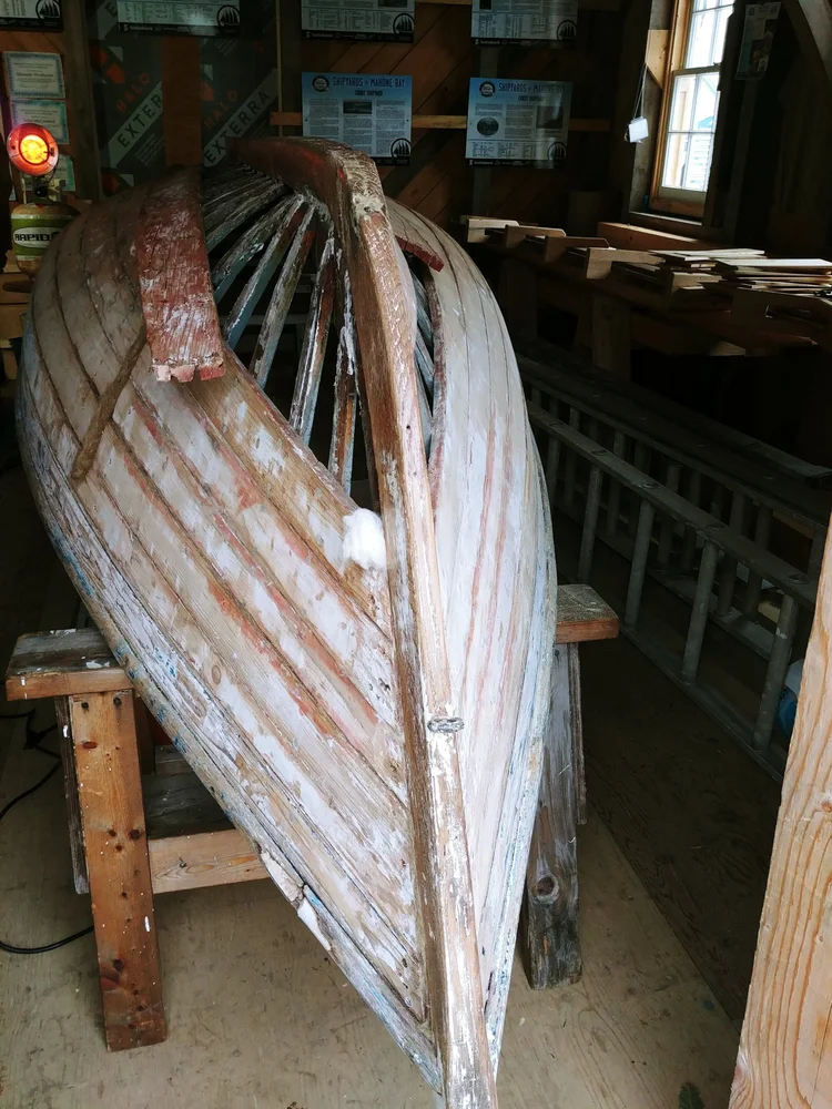 Bow-on view of the Jolly Anne in the Co-op shop showing replaced planks and fresh primer ahead of the Saltbox paint job